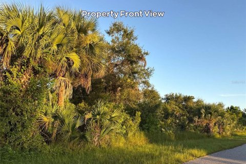 Land in Port Charlotte, Florida № 2212307 - photo 5