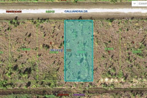 Land in Lake Wales, Florida № 2162278
