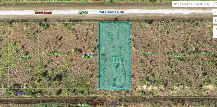 Land in Lake Wales, Florida № 2162278