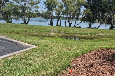 Casa en alquiler en Polk City, Florida, 1 dormitorio, 42.74 m2 № 2198967 - foto 26