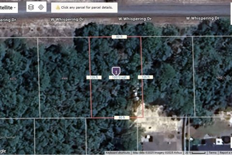Land in Dunnellon, Florida № 2165429 - photo 3