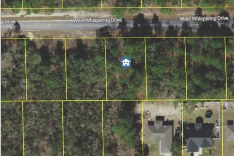 Land in Dunnellon, Florida № 2165429 - photo 2