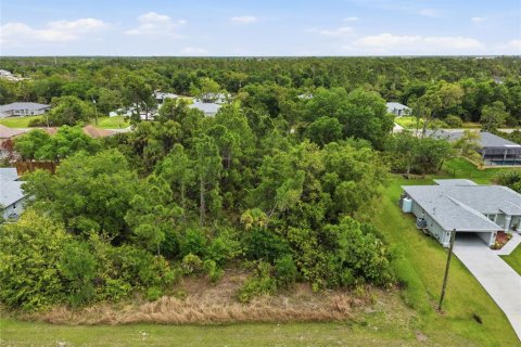 Land in North Port, Florida № 2160706 - photo 6