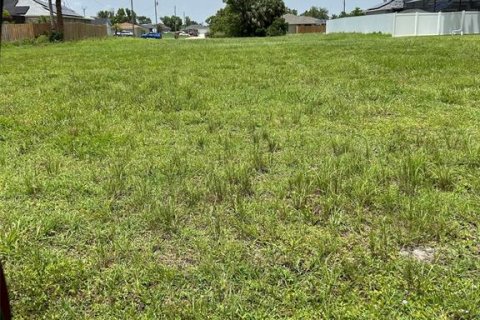 Terreno en venta en Cape Coral, Florida № 1408150 - foto 3
