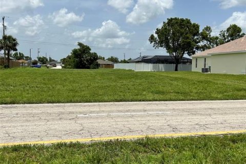 Terreno en venta en Cape Coral, Florida № 1408150 - foto 6