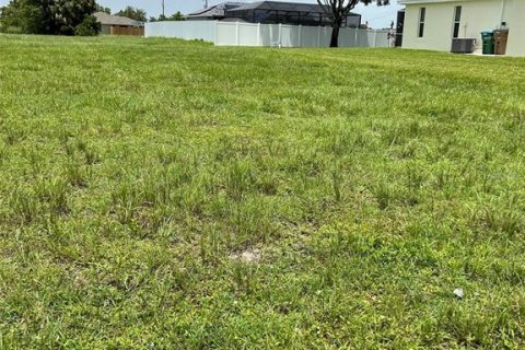 Terreno en venta en Cape Coral, Florida № 1408150 - foto 2