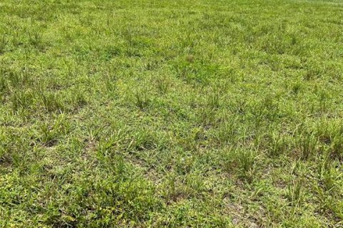 Terreno en venta en Cape Coral, Florida № 1408150 - foto 1