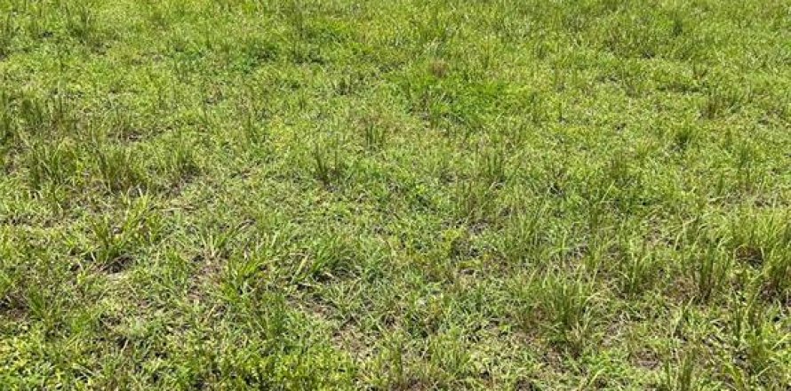Terreno en Cape Coral, Florida № 1408150