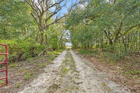 Villa ou maison à vendre à Lecanto, Floride: 3 chambres, 235.23 m2 № 2425318 - photo 30