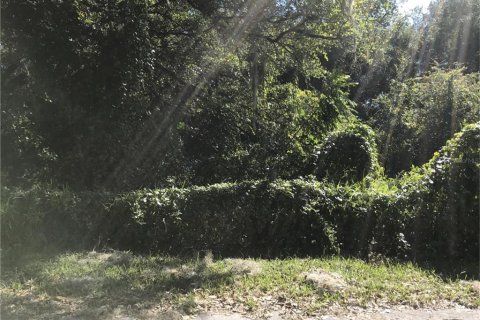 Terreno en venta en Webster, Florida № 2238755 - foto 2