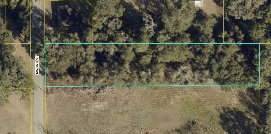 Terreno en Webster, Florida № 2238755