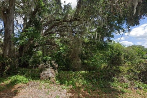 Terreno en venta en Webster, Florida № 2238755 - foto 4
