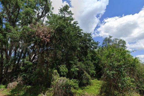 Terreno en venta en Webster, Florida № 2238755 - foto 3