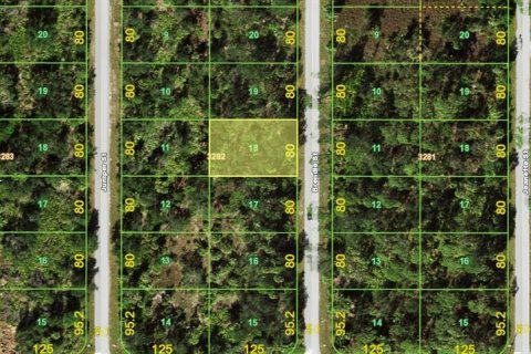 Land in Port Charlotte, Florida № 2163628