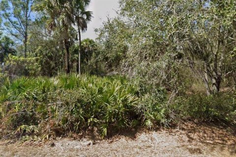 Land in Port Charlotte, Florida № 2163628 - photo 2
