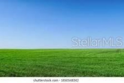 Land in Ocala, Florida № 1657292 - photo 3