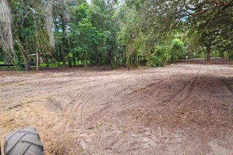 Terreno en venta en Lady Lake, Florida № 2096379 - foto 4