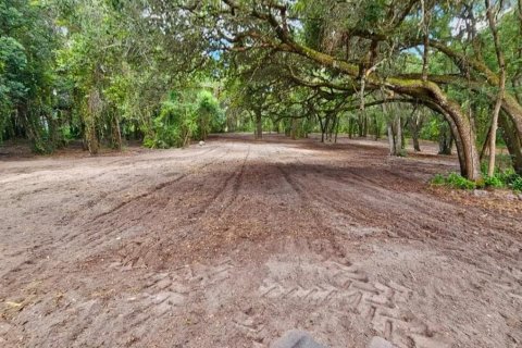 Terreno en venta en Lady Lake, Florida № 2096379 - foto 5