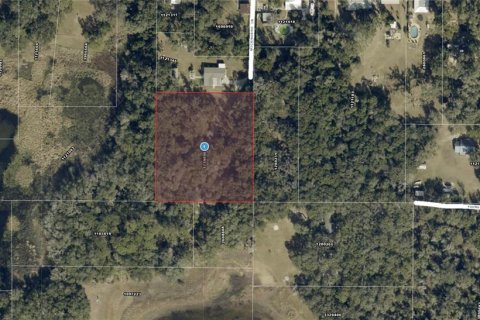 Terreno en Lady Lake, Florida № 2096379