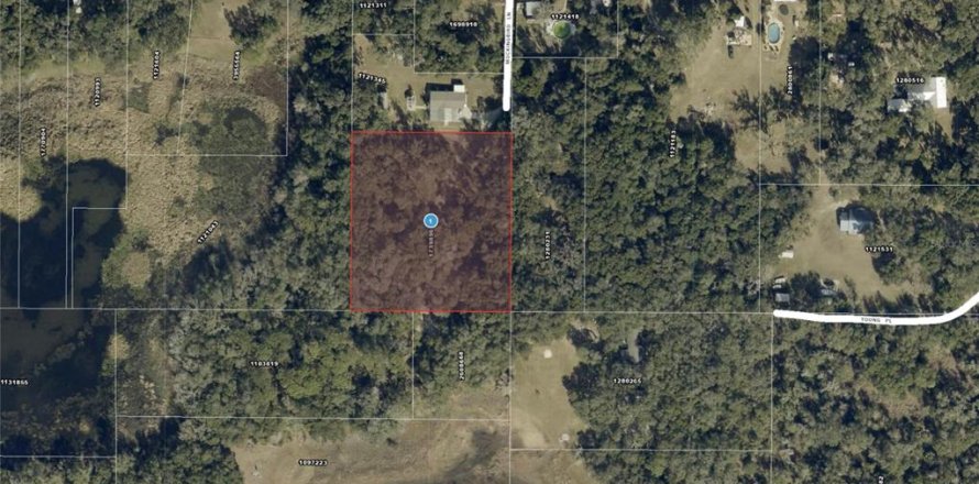 Terreno en Lady Lake, Florida № 2096379