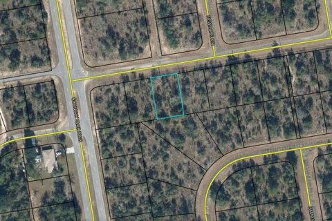 Land in Chipley, Florida № 2160046 - photo 6