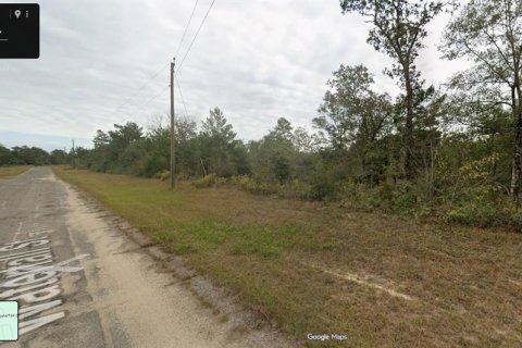 Land in Chipley, Florida № 2160046