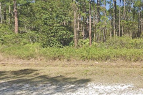Land in Georgetown, Florida № 2160323