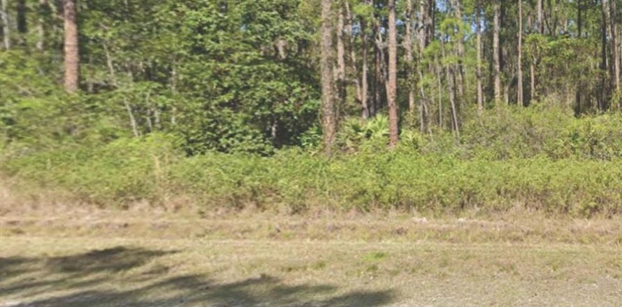 Land in Georgetown, Florida № 2160323
