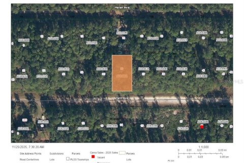 Land in Georgetown, Florida № 2160323 - photo 2