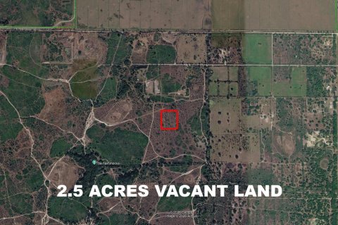 Immobilier commercial à Okeechobee, Floride № 2366131