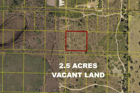 Immobilier commercial à vendre à Okeechobee, Floride № 2366131 - photo 2