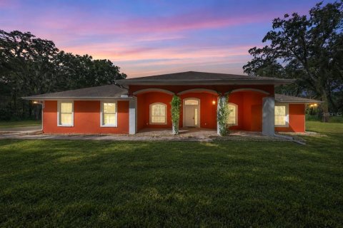 Villa ou maison à Belleview, Floride 4 chambres, 252.42 m2 № 2419198