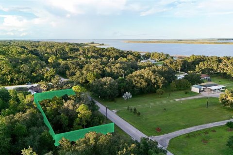 Land in Lake Placid, Florida № 2232719