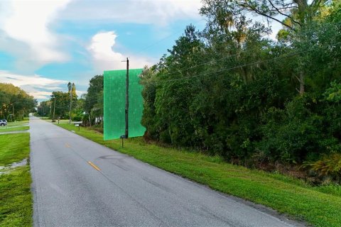 Terreno en venta en Lake Placid, Florida № 2232719 - foto 6