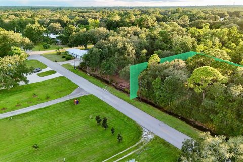 Terreno en venta en Lake Placid, Florida № 2232719 - foto 10