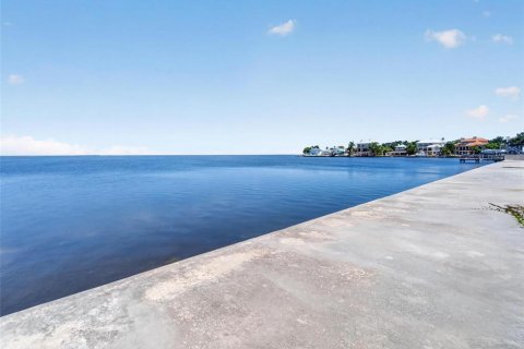 Купить земельный участок в Палм-Харбор, Флорида № 2104990 - фото 2