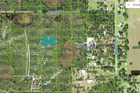 Land in Lake Wales, Florida № 2234009 - photo 4