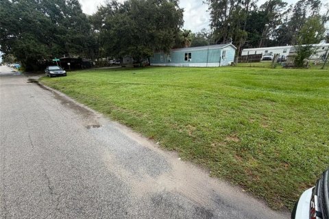 Land in Lake Alfred, Florida № 2200421