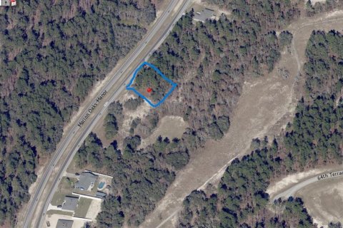 Land in Ocala, Florida № 2159014 - photo 3
