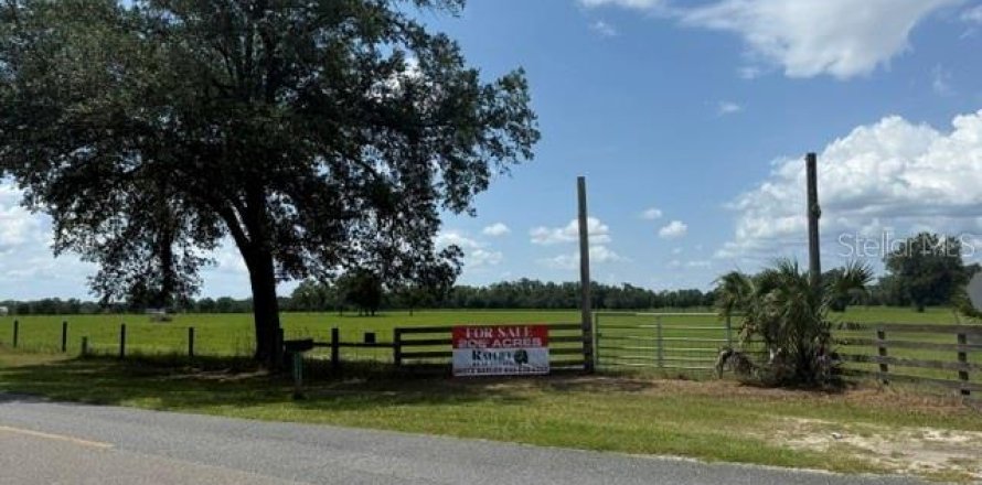 Land in Live Oak, Florida № 2203990