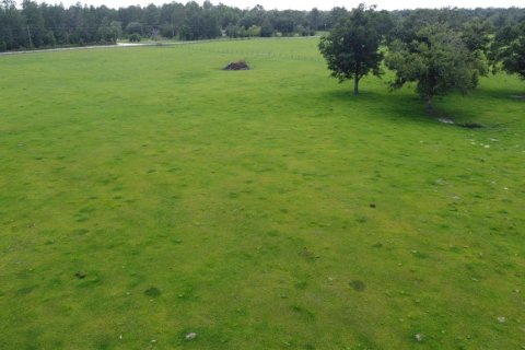 Land in Live Oak, Florida № 2203990 - photo 3