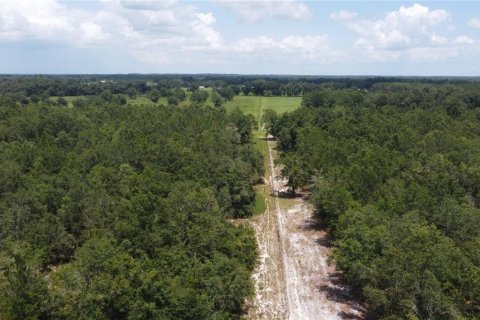 Land in Live Oak, Florida № 2203990 - photo 5