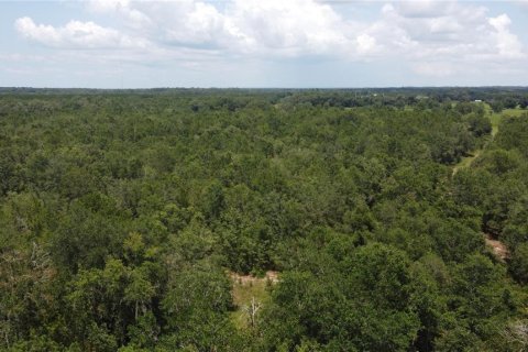 Land in Live Oak, Florida № 2203990 - photo 6