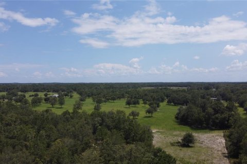 Land in Live Oak, Florida № 2203990 - photo 7