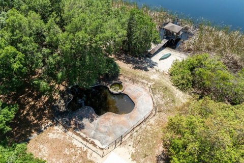 Land in Minneola, Florida № 2221017 - photo 6