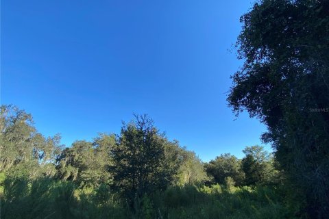 Land in Floral City, Florida № 1629995 - photo 28