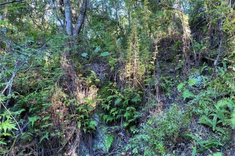 Land in Floral City, Florida № 1629995 - photo 22