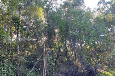 Land in Floral City, Florida № 1629995 - photo 25