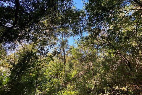 Land in Floral City, Florida № 1629995 - photo 10