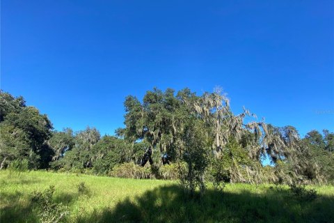 Land in Floral City, Florida № 1629995 - photo 5